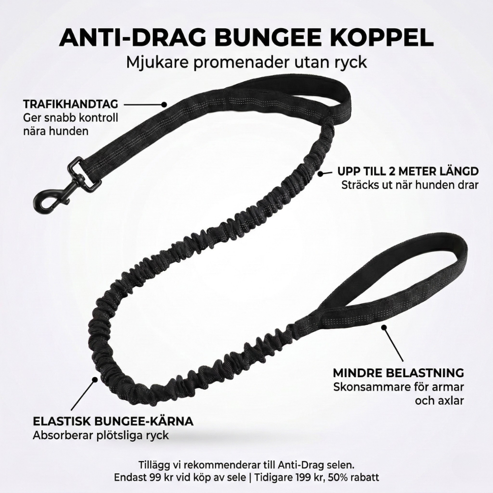 Hundtellas Anti-drag & Hitta hem sele