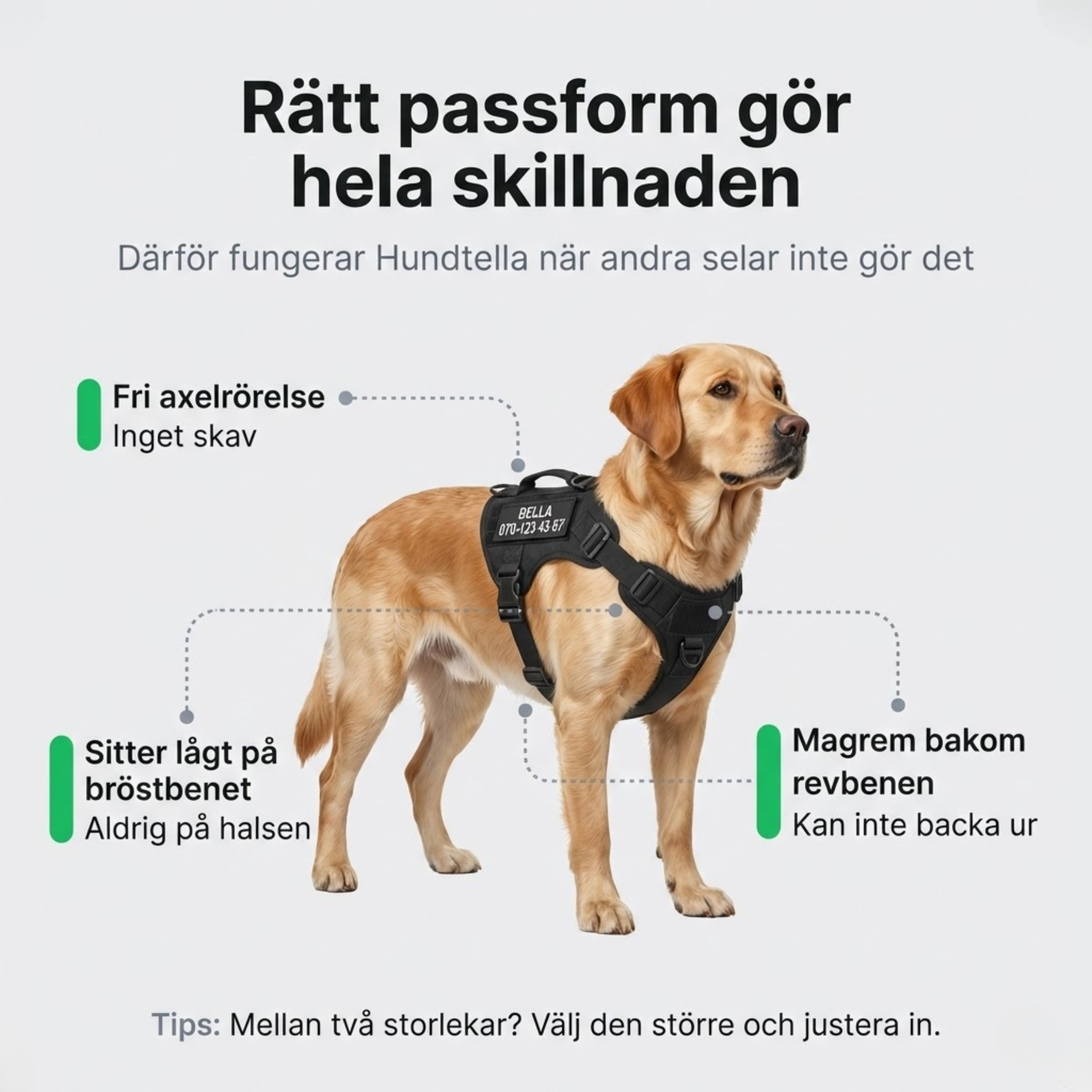 Hundtellas Anti-drag & Hitta hem sele