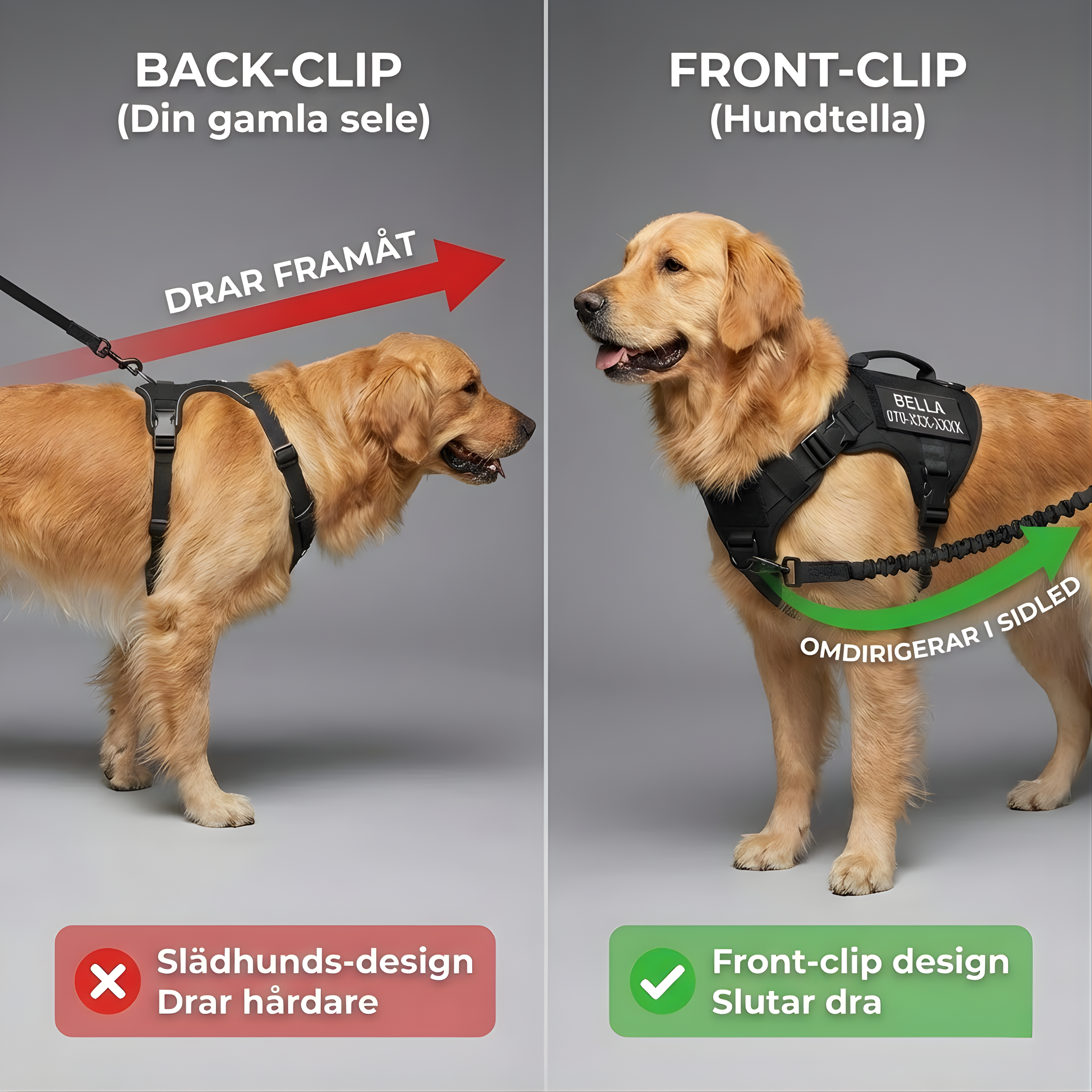 Hundtellas Anti-drag & Hitta hem sele