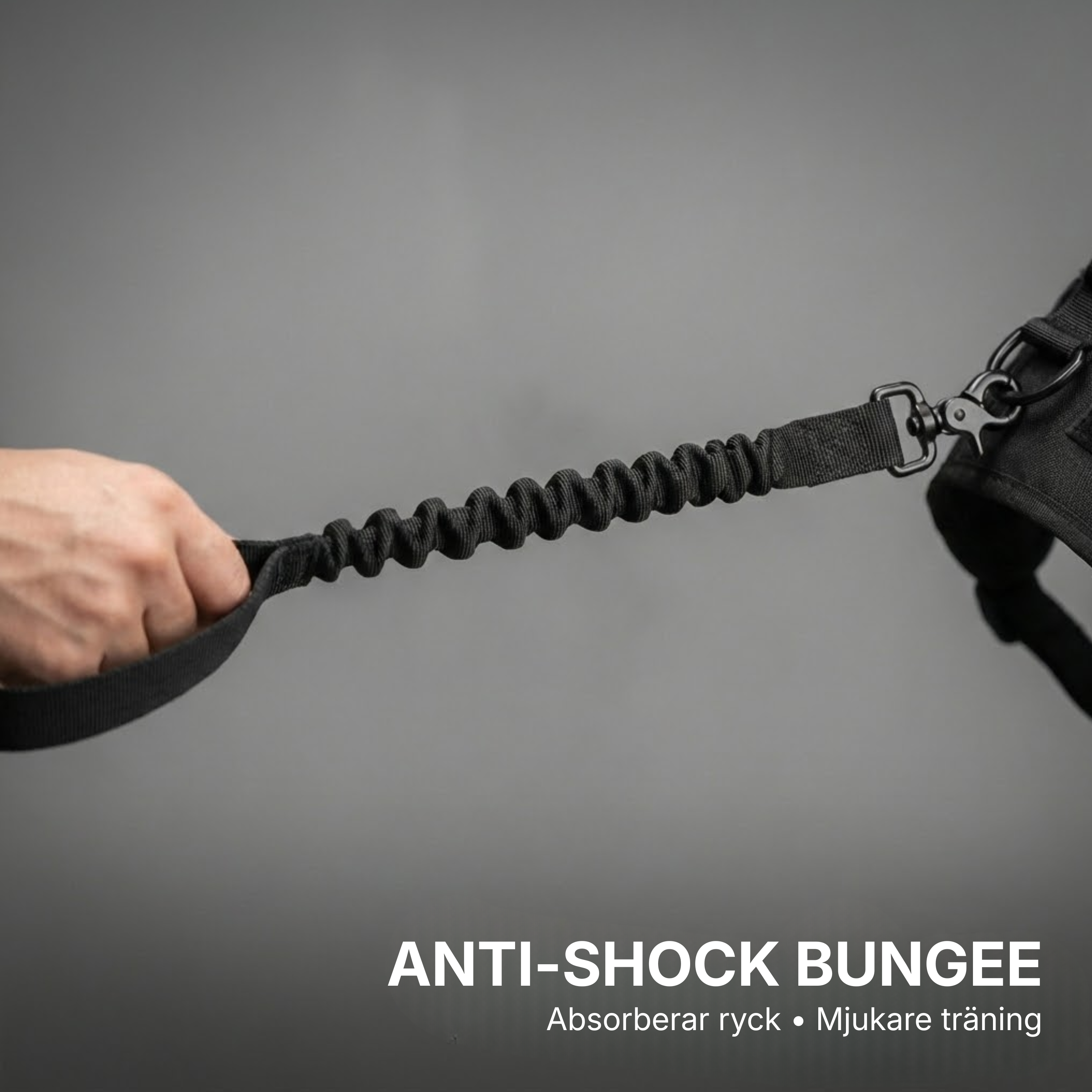 Hundtellas Anti-drag & Hitta hem sele