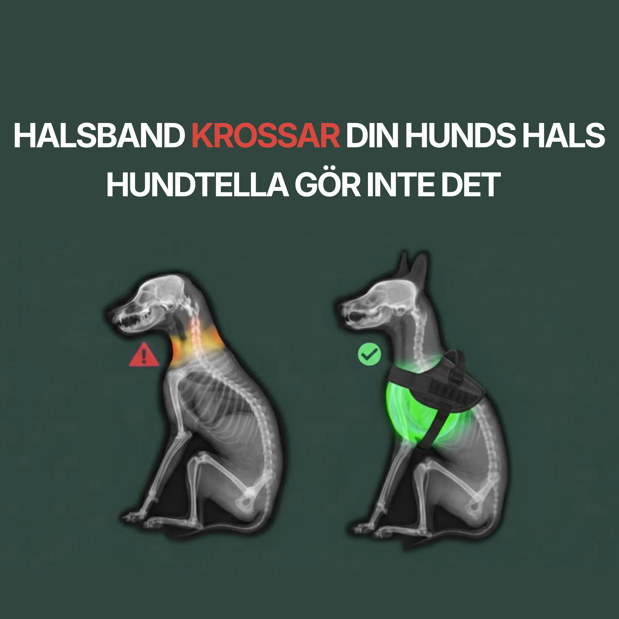 Hundtellas Anti-drag & Hitta hem sele
