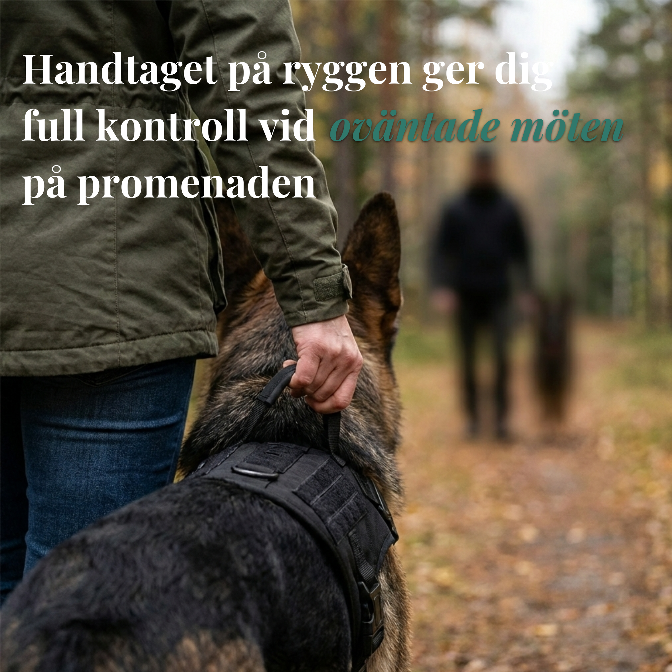Hundtellas Anti-drag & Hitta hem sele